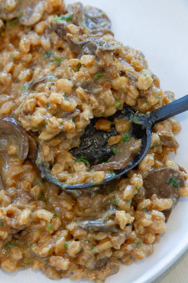 a serving of mushrooms and farro on a white plate with a black metal spoon.